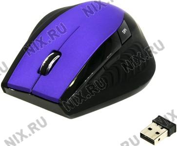 SmartBuy EZ Work Pro Wireless Optical Mouse SBM-613AG-PK (RTL) USB 6btn+Roll, 