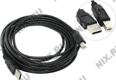 BaseLevel BL-USB2-AmBm-5.0  USB 2.0 A--B 5