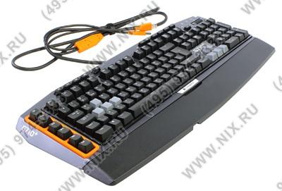 Logitech Mechanical Gaming Keyboard G710+ USB Ergo 105+18/ +USB + 920-004551/5707